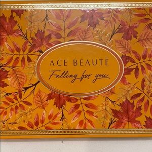 Make up palette never used